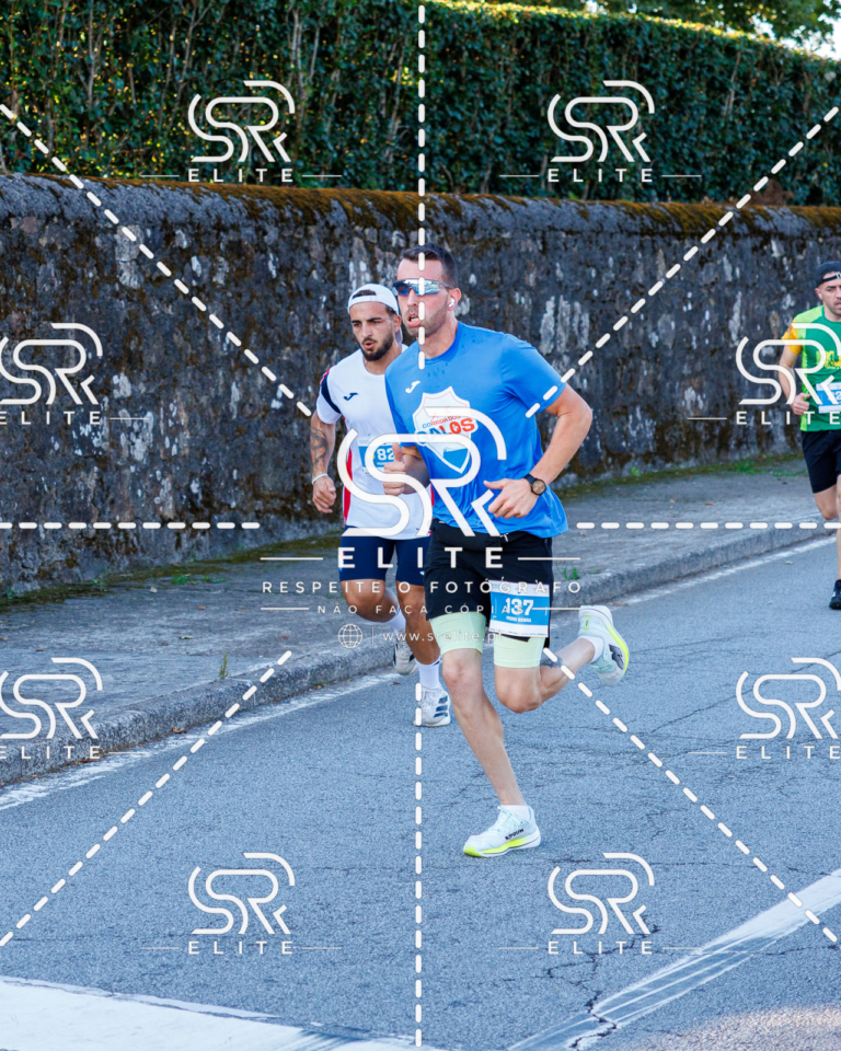 Preview com marca de água da fotografia galos-139