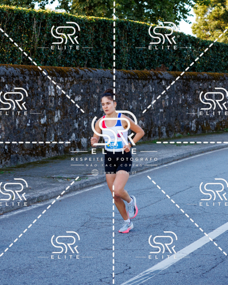 Preview com marca de água da fotografia galos-141