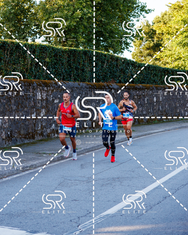 Preview com marca de água da fotografia galos-145