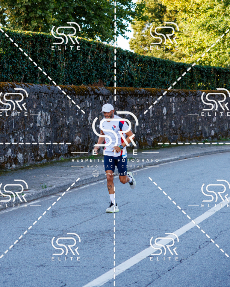 Preview com marca de água da fotografia galos-147