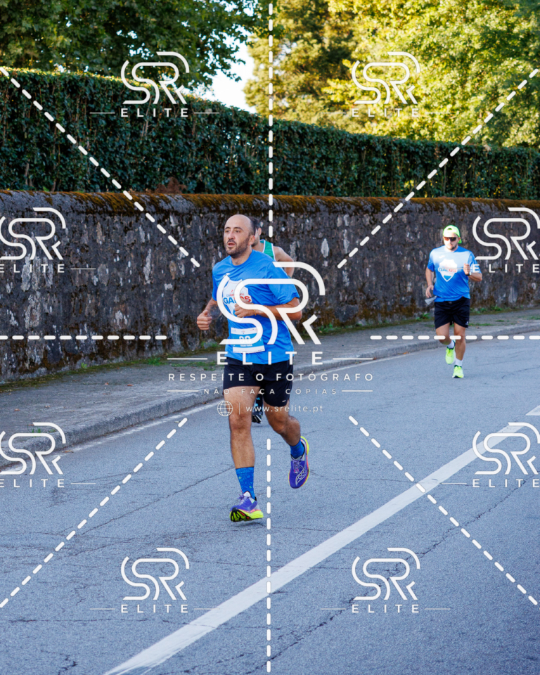 Preview com marca de água da fotografia galos-152