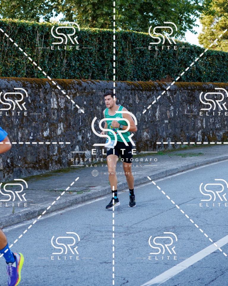 Preview com marca de água da fotografia galos-153