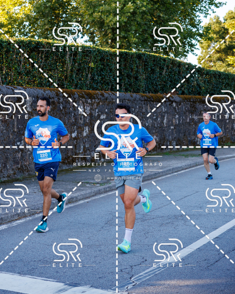 Preview com marca de água da fotografia galos-157