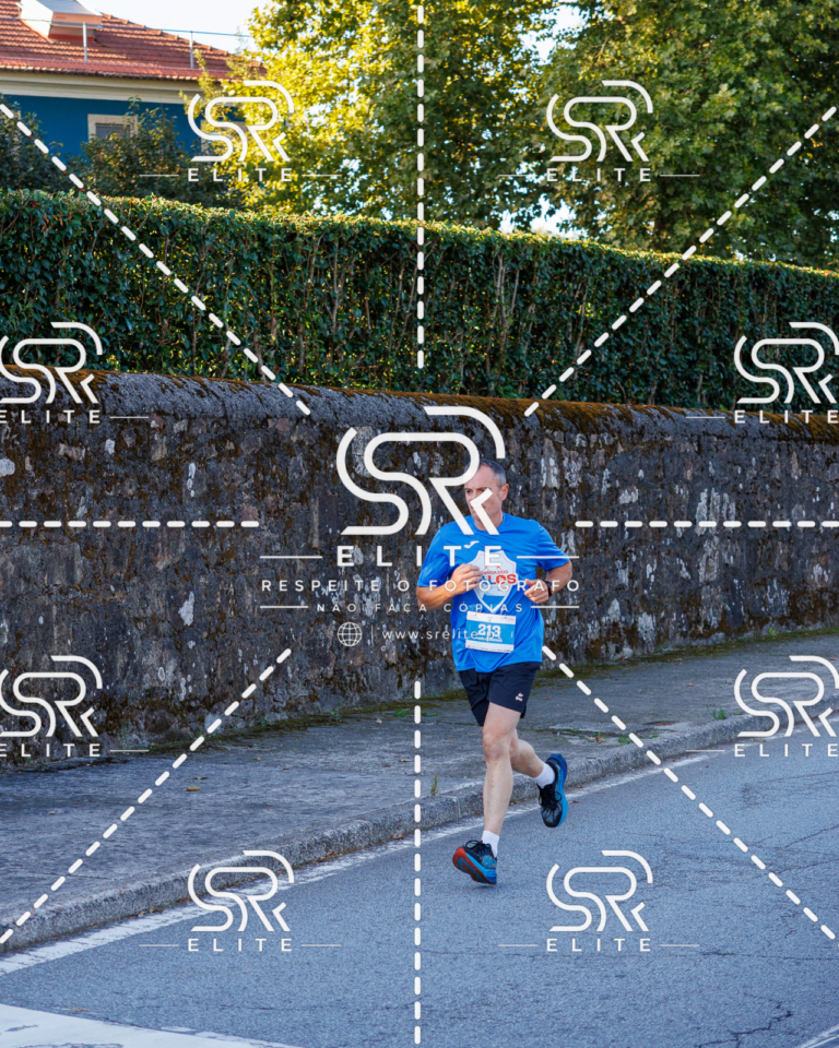 Preview com marca de água da fotografia galos-158