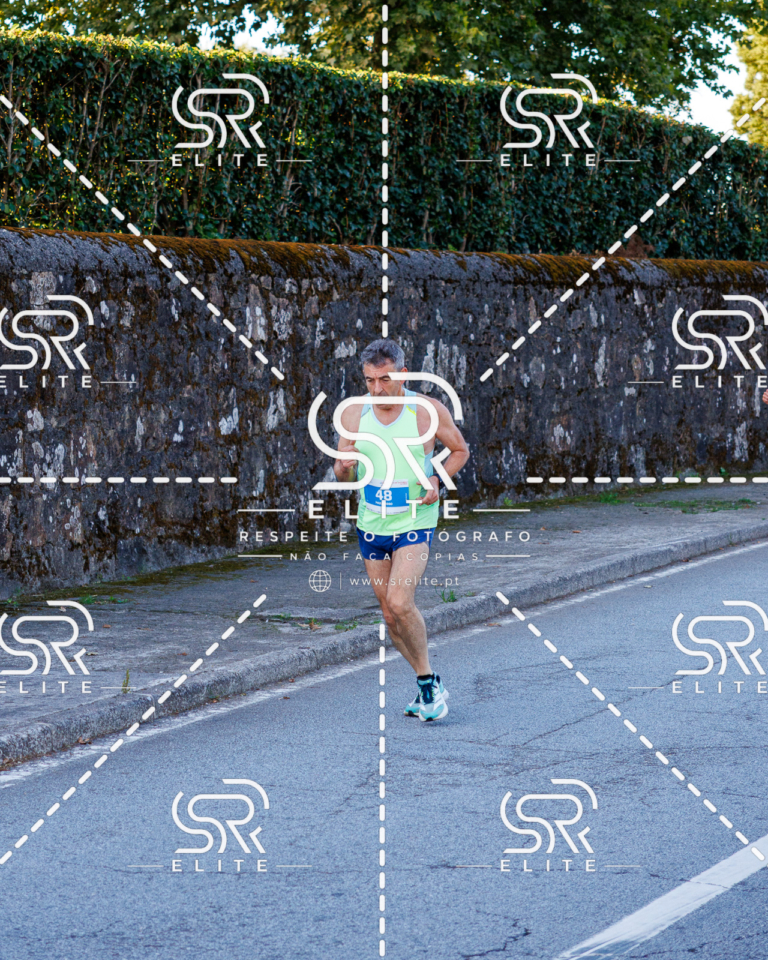 Preview com marca de água da fotografia galos-162