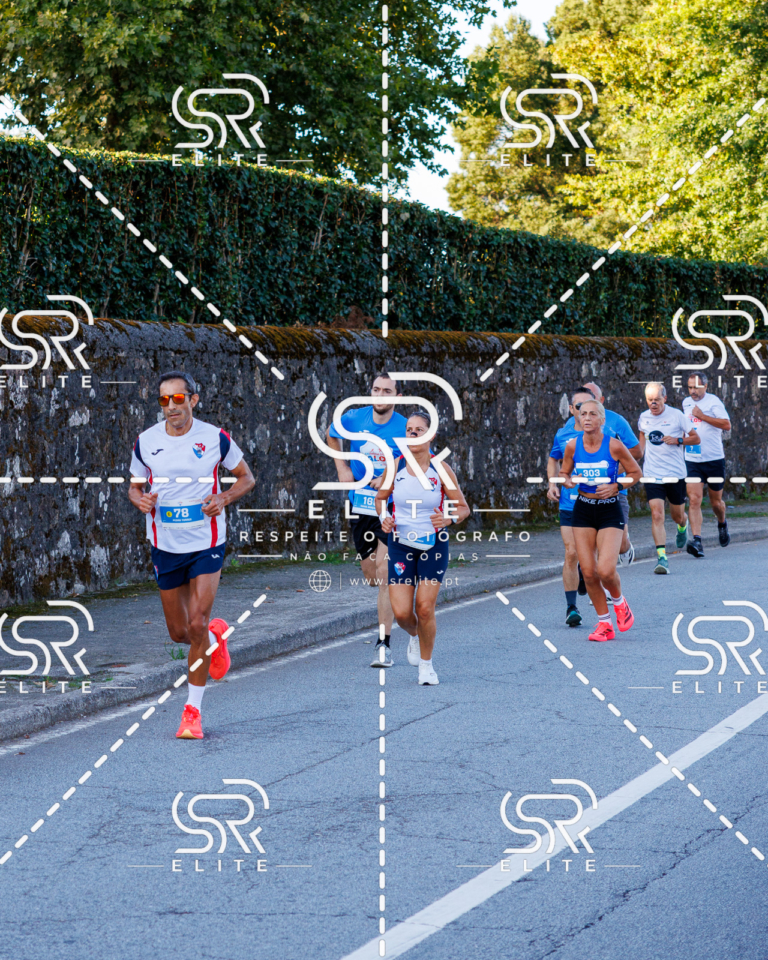 Preview com marca de água da fotografia galos-163