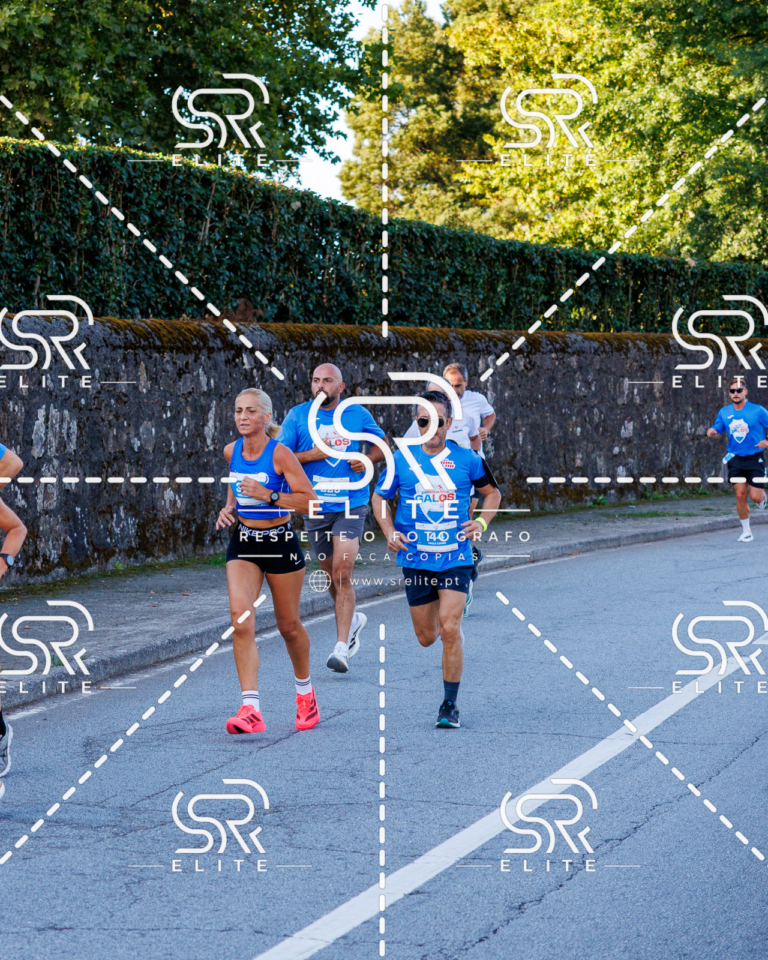 Preview com marca de água da fotografia galos-164