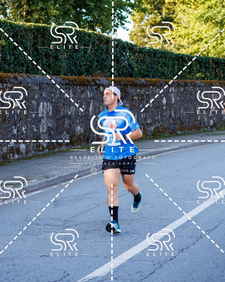Preview com marca de água da fotografia galos-168