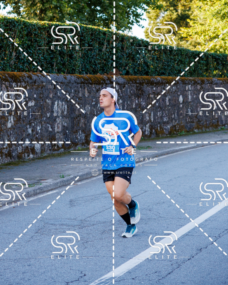Preview com marca de água da fotografia galos-169