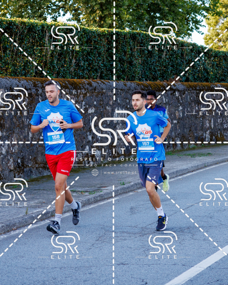 Preview com marca de água da fotografia galos-175