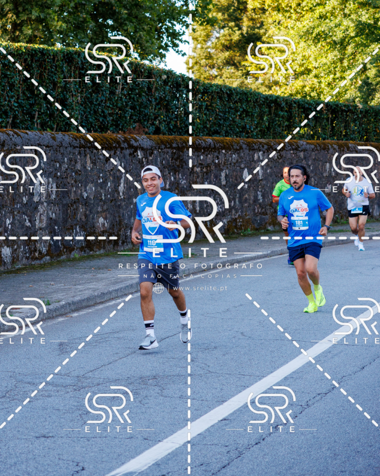 Preview com marca de água da fotografia galos-176
