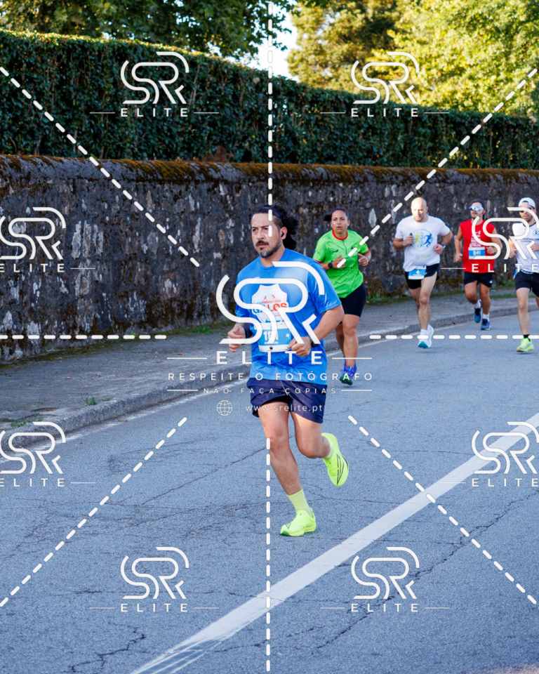 Preview com marca de água da fotografia galos-178