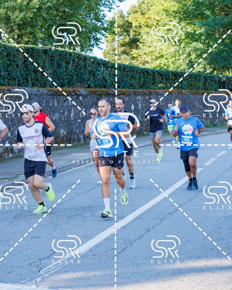 Preview com marca de água da fotografia galos-180