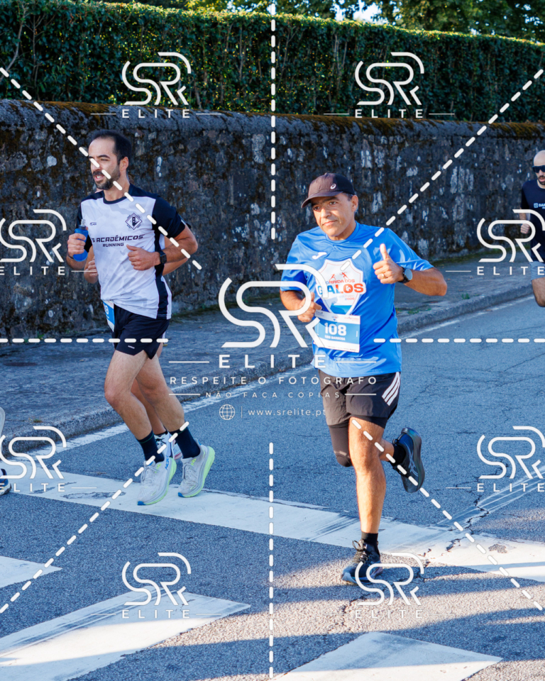 Preview com marca de água da fotografia galos-182