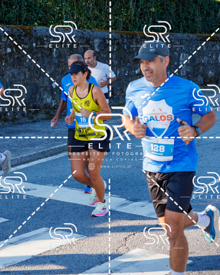 Preview com marca de água da fotografia galos-187
