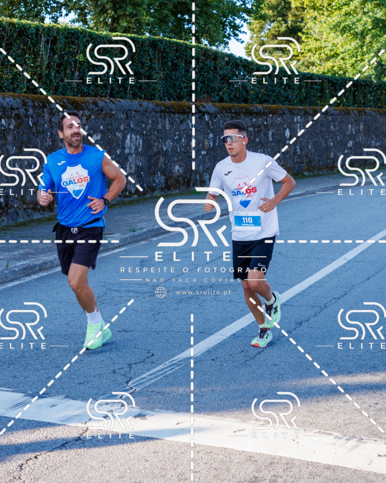 Preview com marca de água da fotografia galos-188