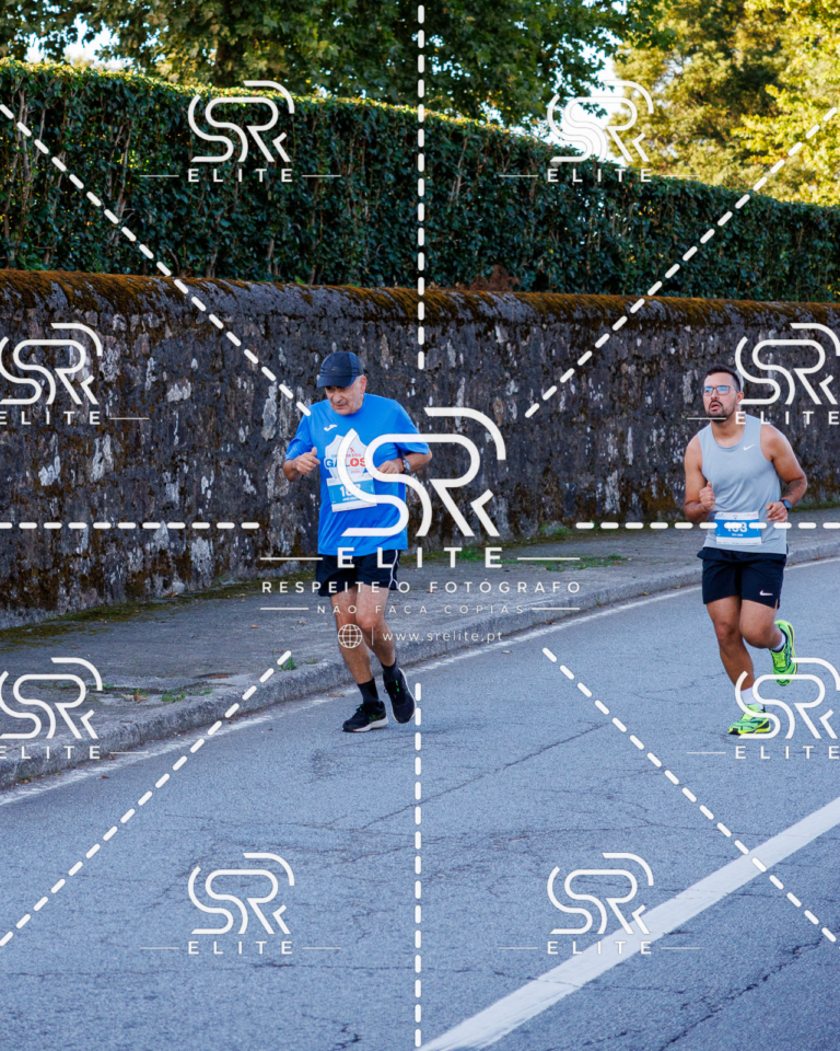Preview com marca de água da fotografia galos-201