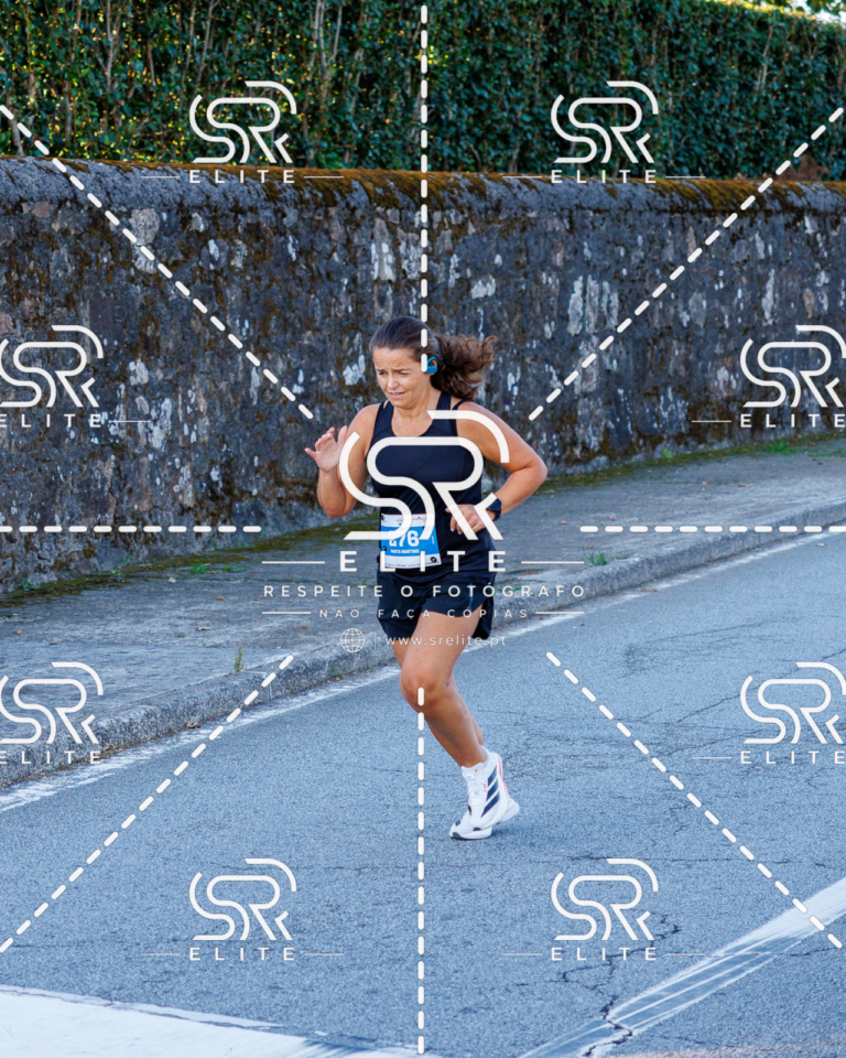 Preview com marca de água da fotografia galos-203