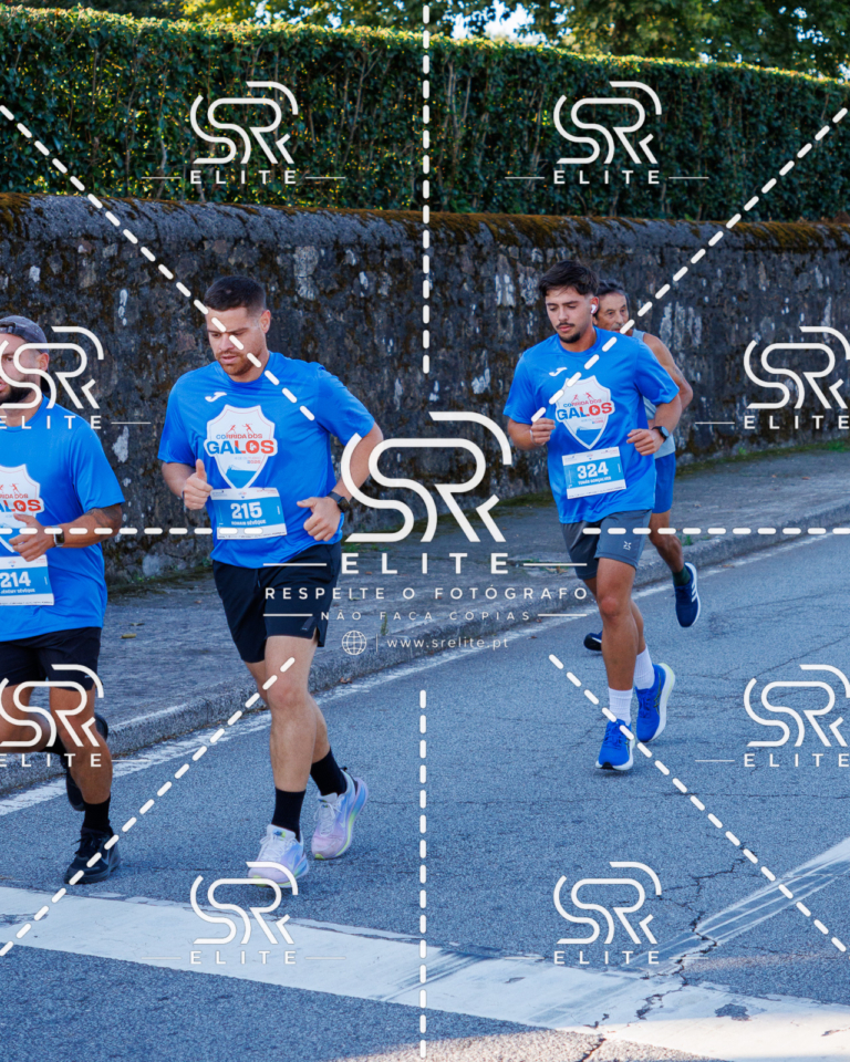 Preview com marca de água da fotografia galos-208