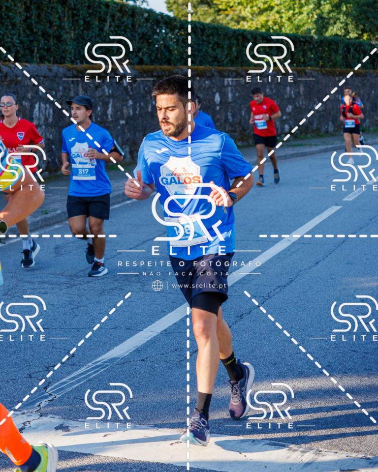 Preview com marca de água da fotografia galos-210