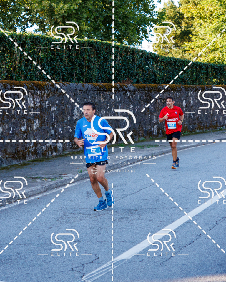 Preview com marca de água da fotografia galos-212