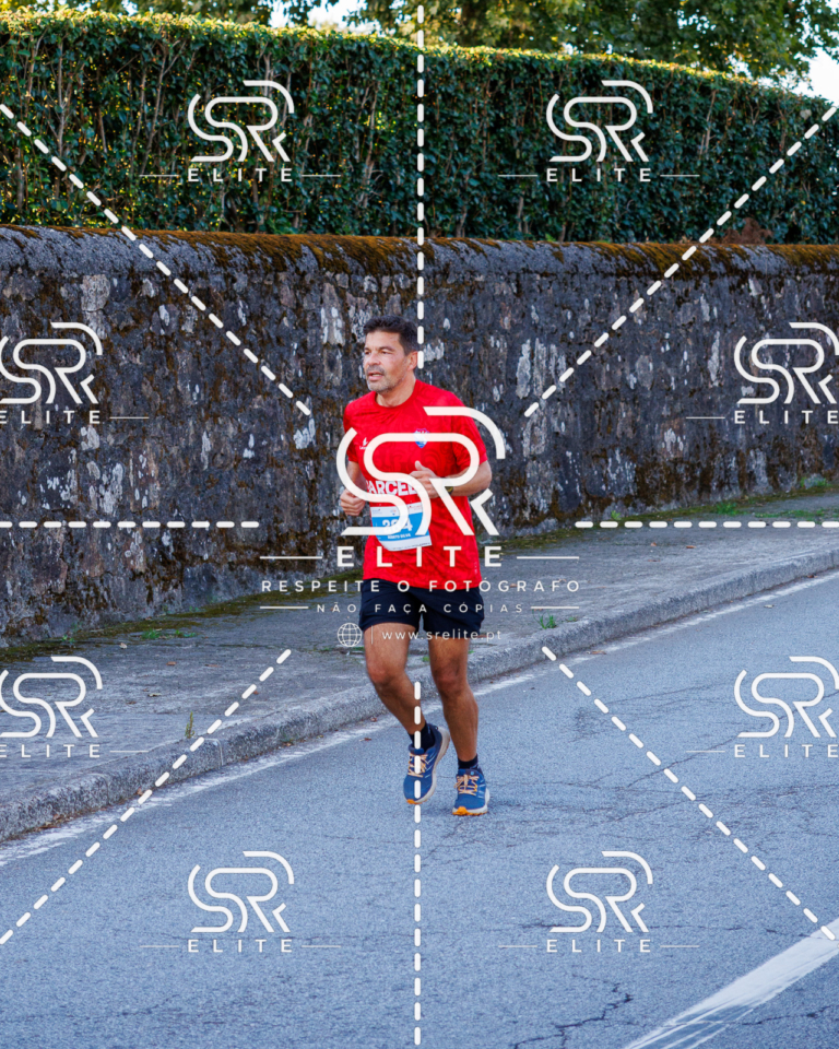 Preview com marca de água da fotografia galos-213