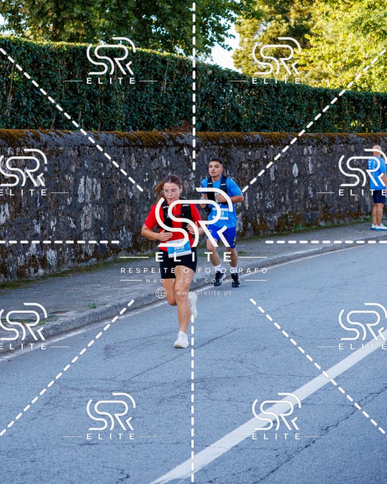 Preview com marca de água da fotografia galos-214