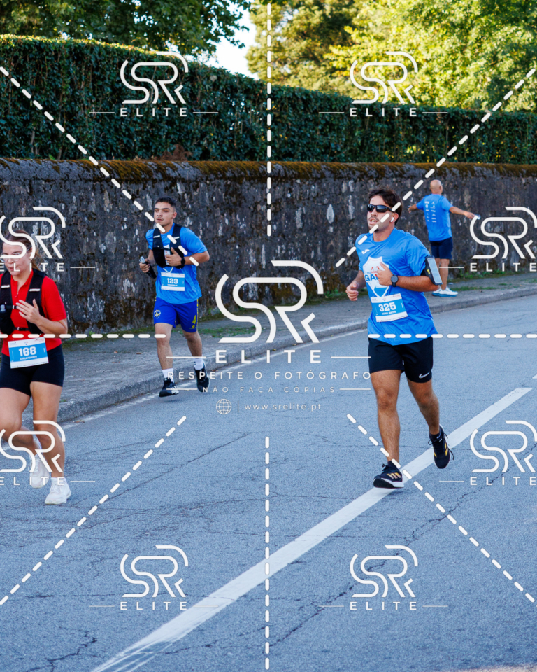 Preview com marca de água da fotografia galos-215