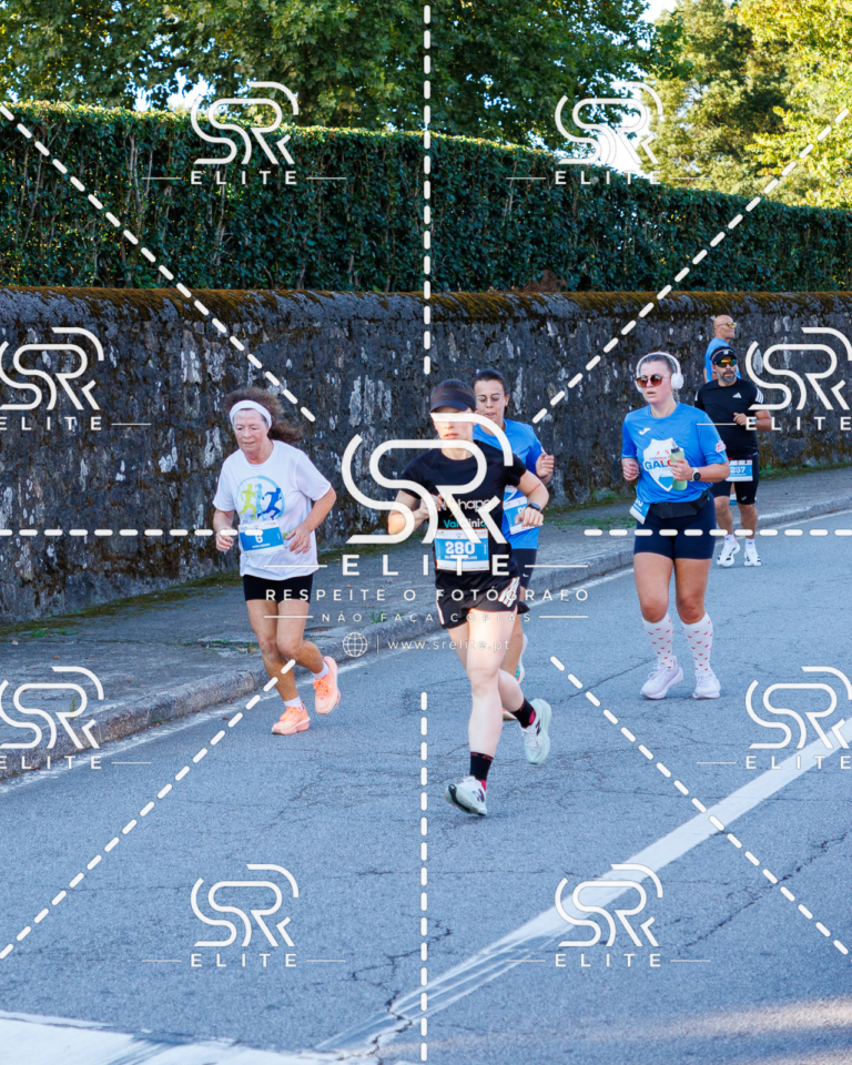 Preview com marca de água da fotografia galos-225