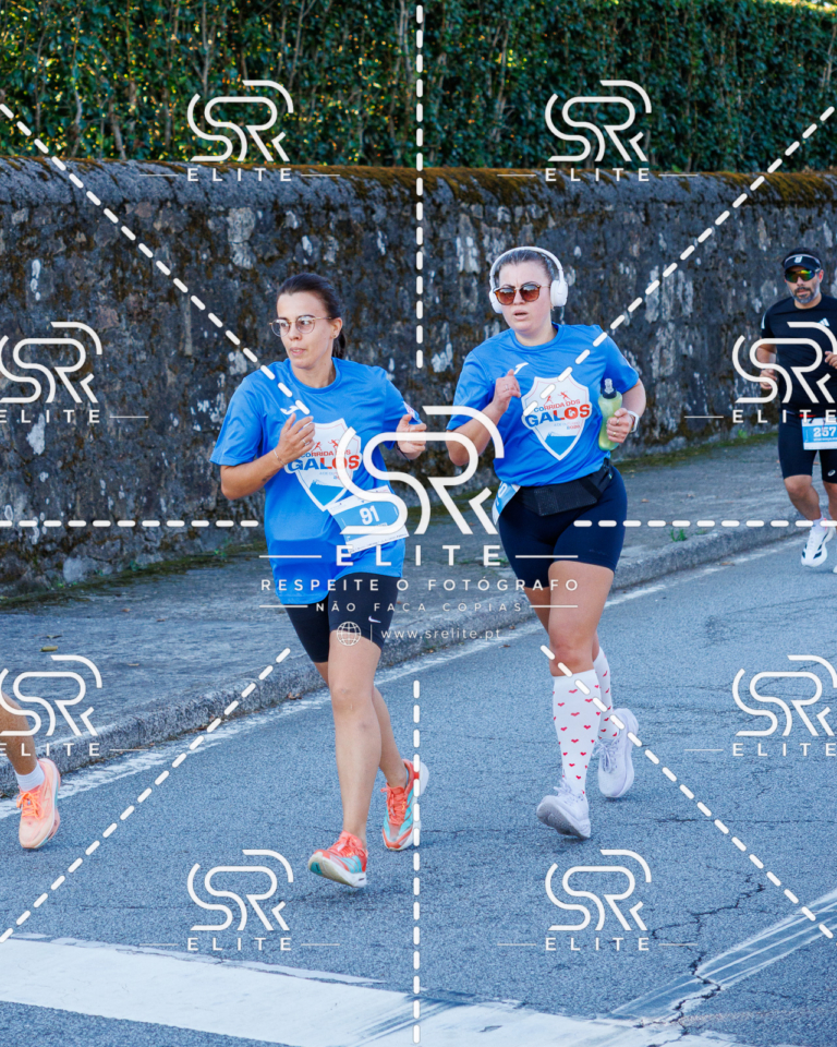 Preview com marca de água da fotografia galos-226