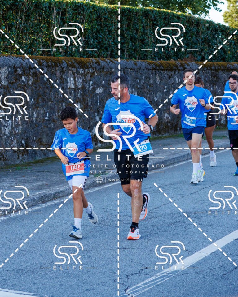 Preview com marca de água da fotografia galos-234