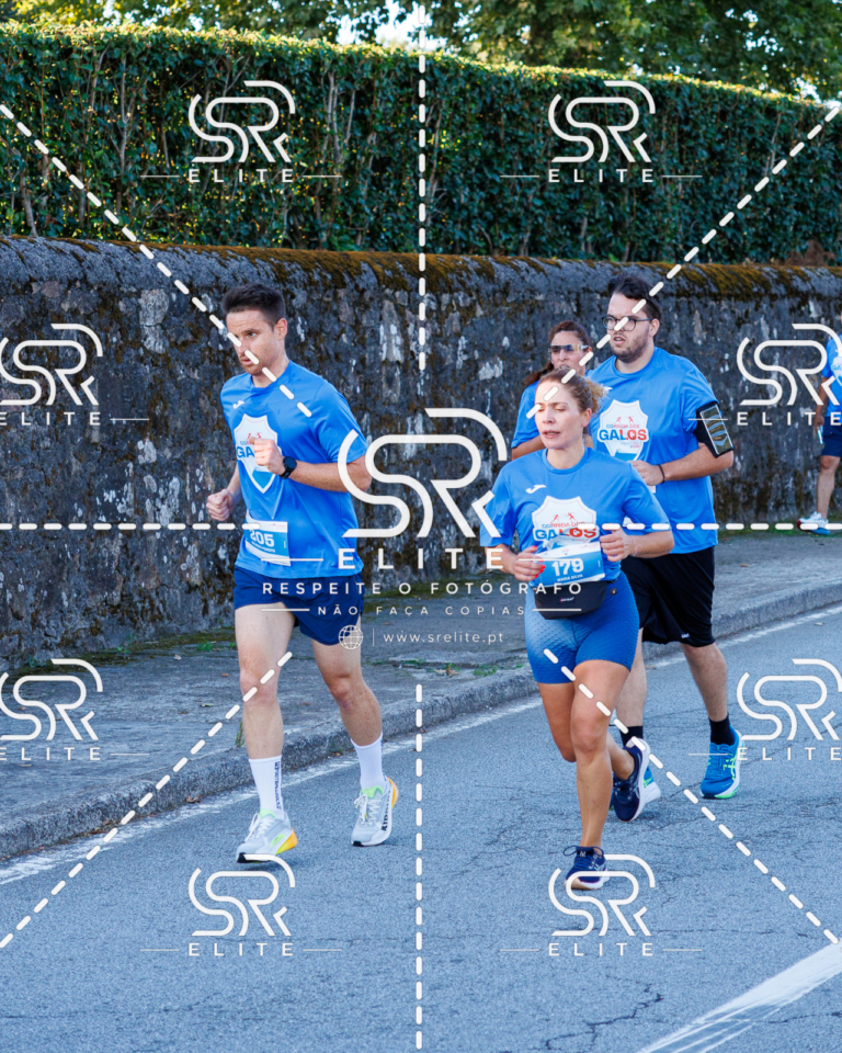 Preview com marca de água da fotografia galos-235
