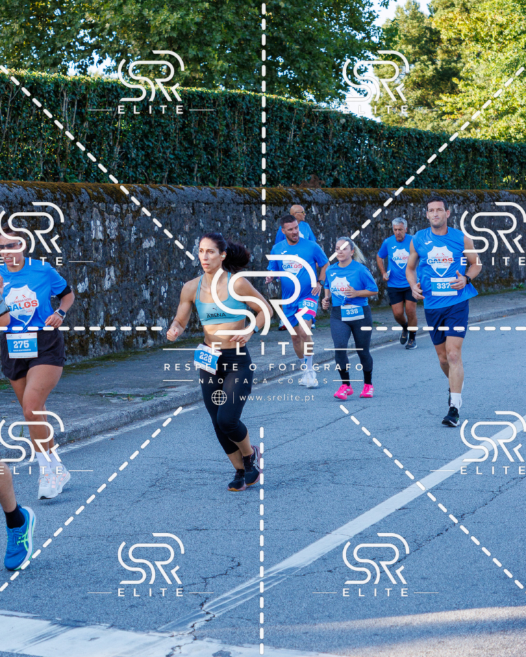 Preview com marca de água da fotografia galos-236