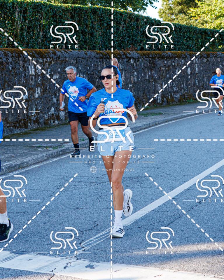 Preview com marca de água da fotografia galos-238