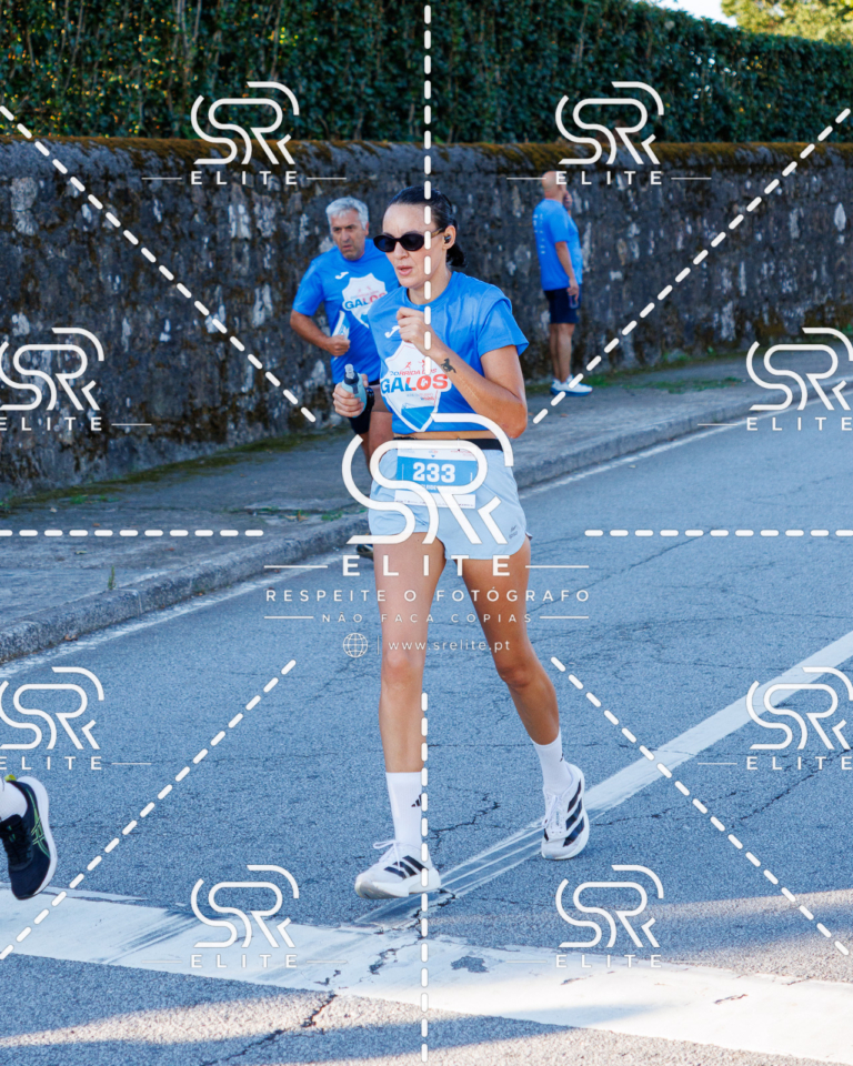 Preview com marca de água da fotografia galos-239