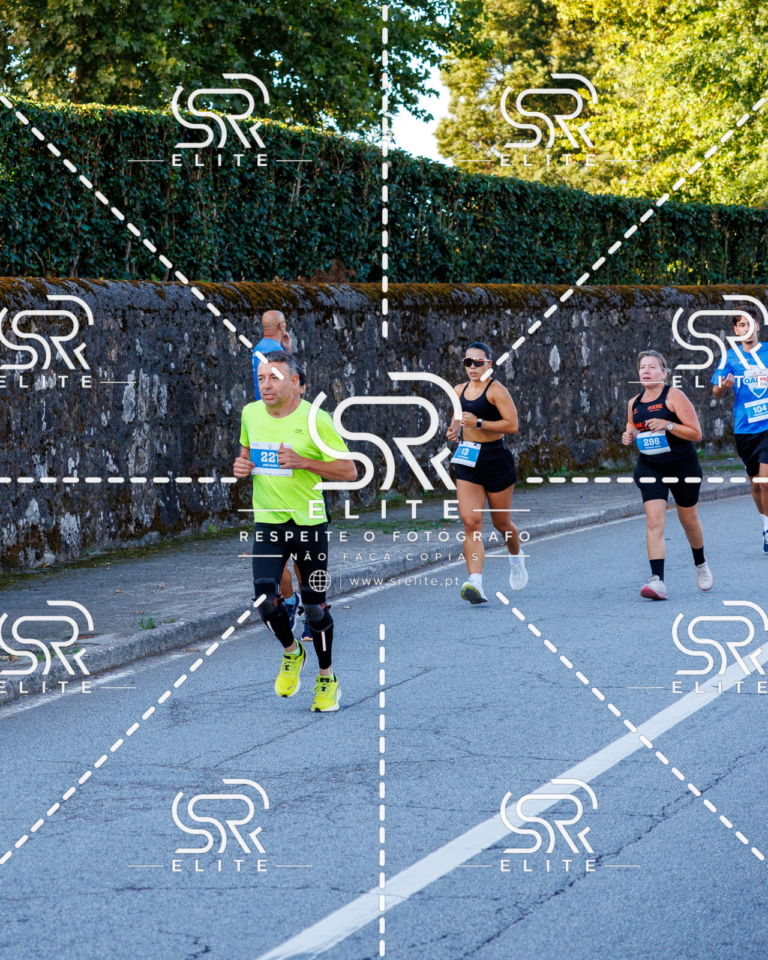 Preview com marca de água da fotografia galos-240