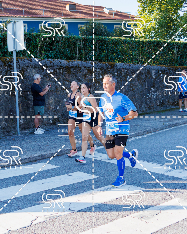 Preview com marca de água da fotografia galos-242