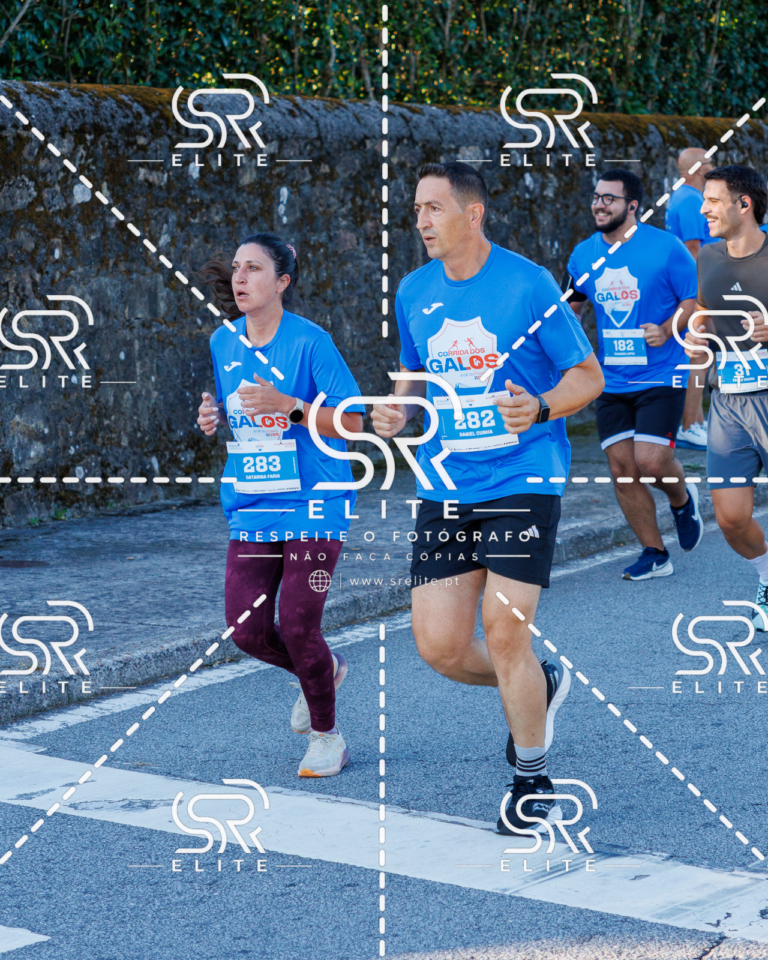 Preview com marca de água da fotografia galos-246