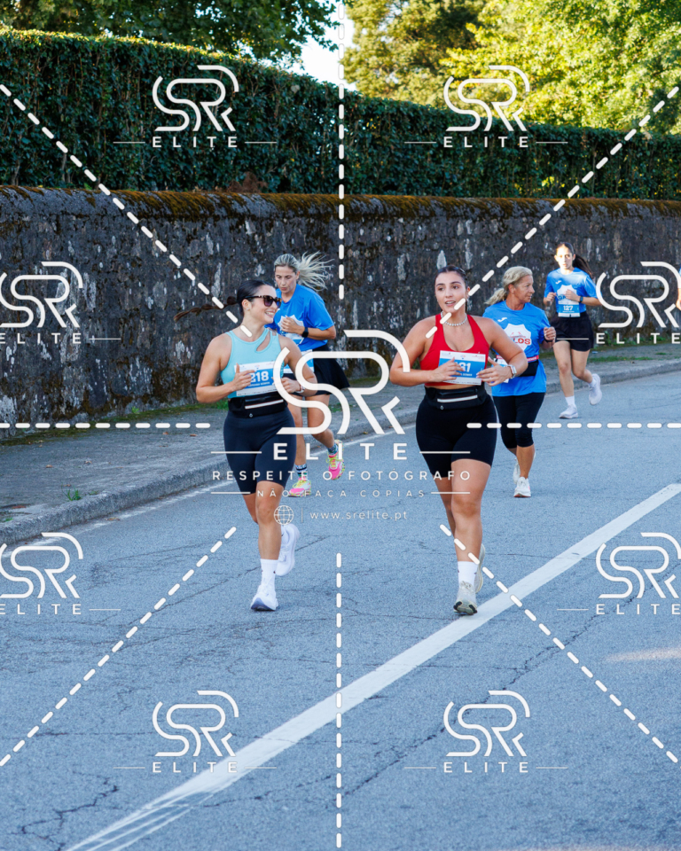 Preview com marca de água da fotografia galos-248