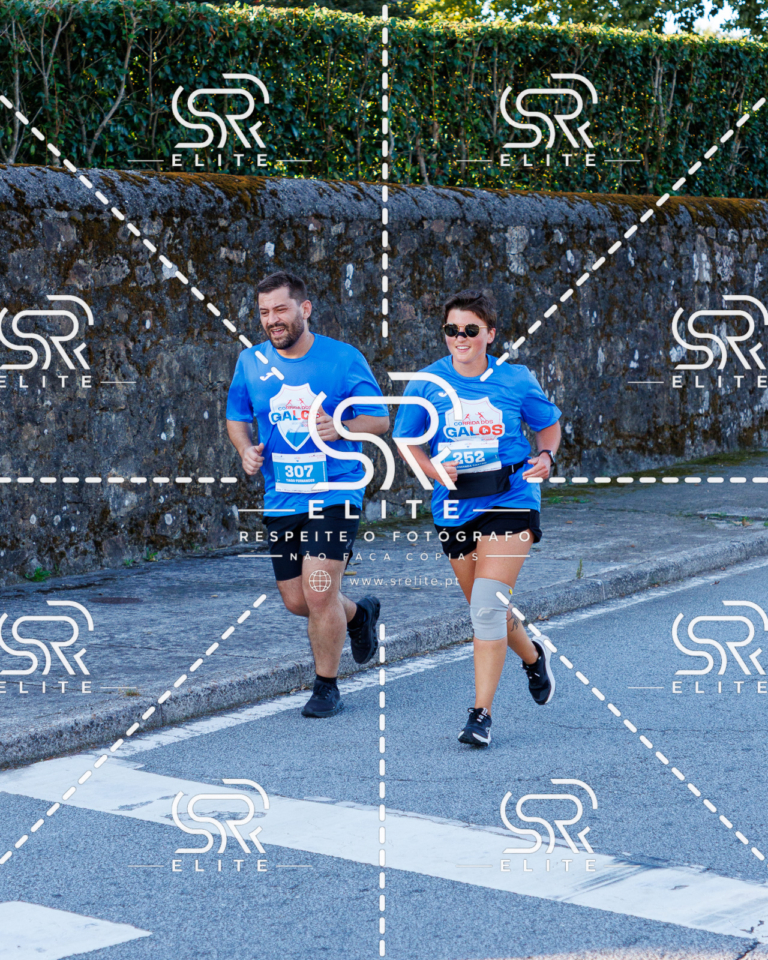 Preview com marca de água da fotografia galos-255
