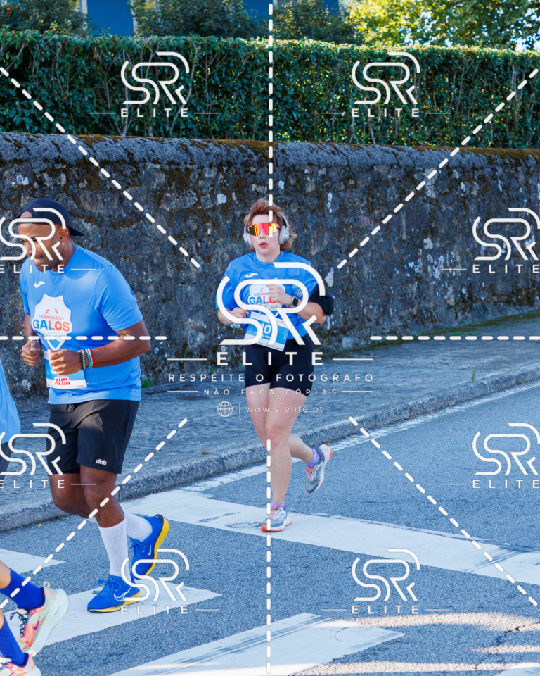 Preview com marca de água da fotografia galos-260