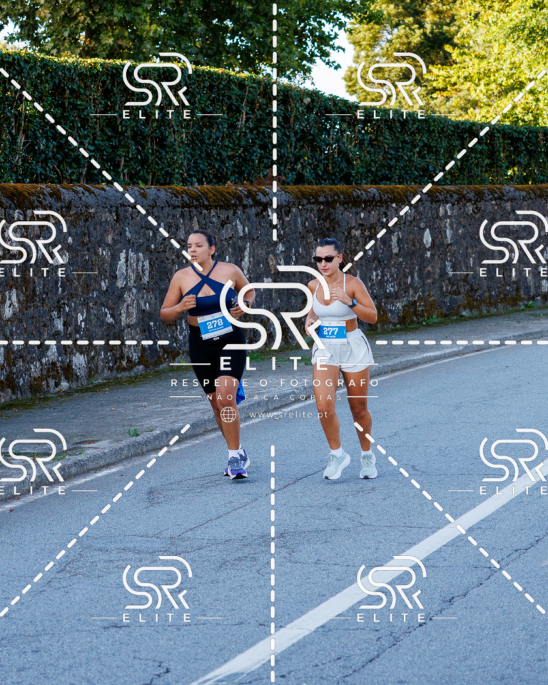 Preview com marca de água da fotografia galos-267