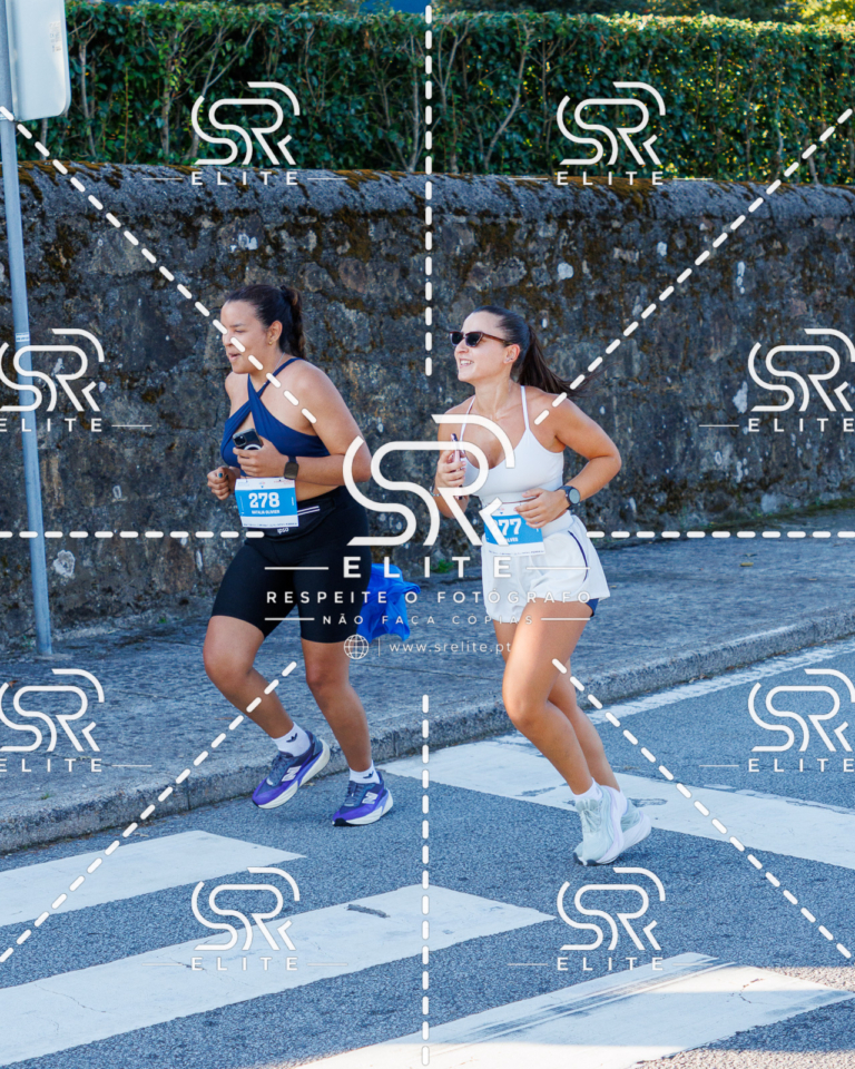 Preview com marca de água da fotografia galos-268