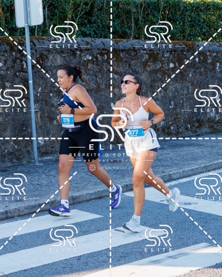 Preview com marca de água da fotografia galos-269