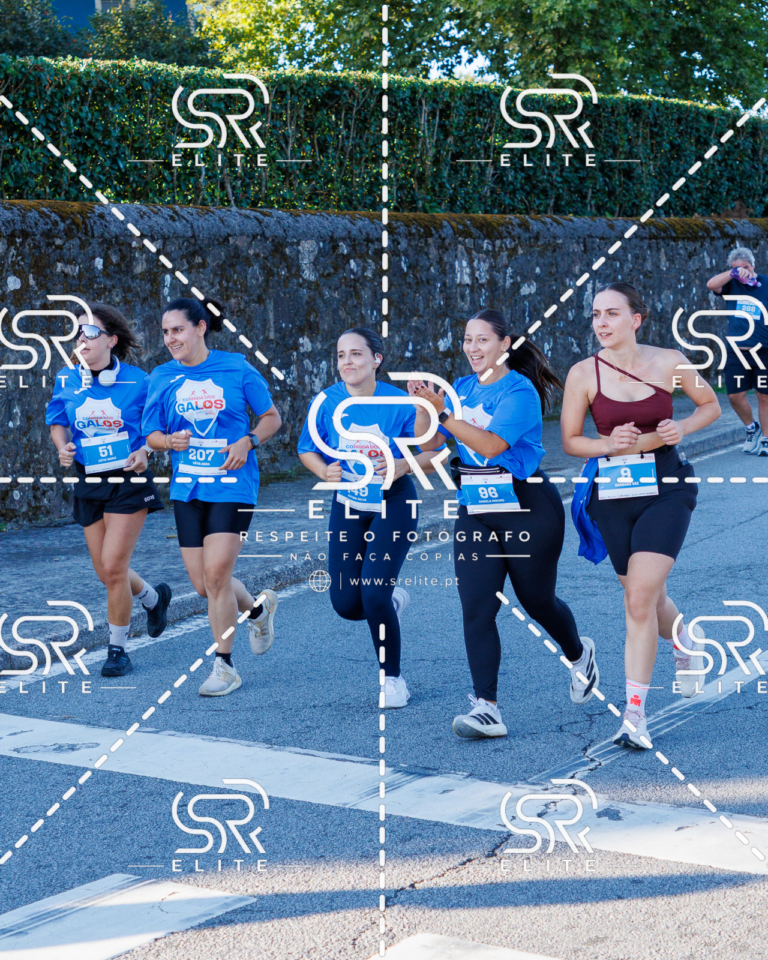 Preview com marca de água da fotografia galos-273