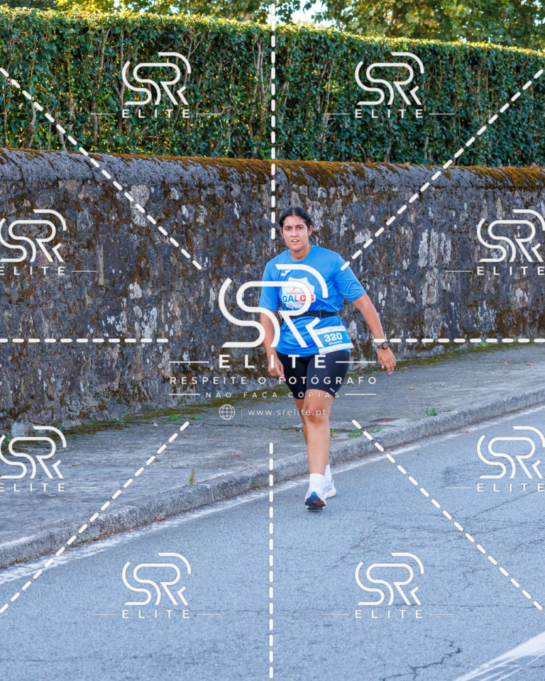 Preview com marca de água da fotografia galos-279
