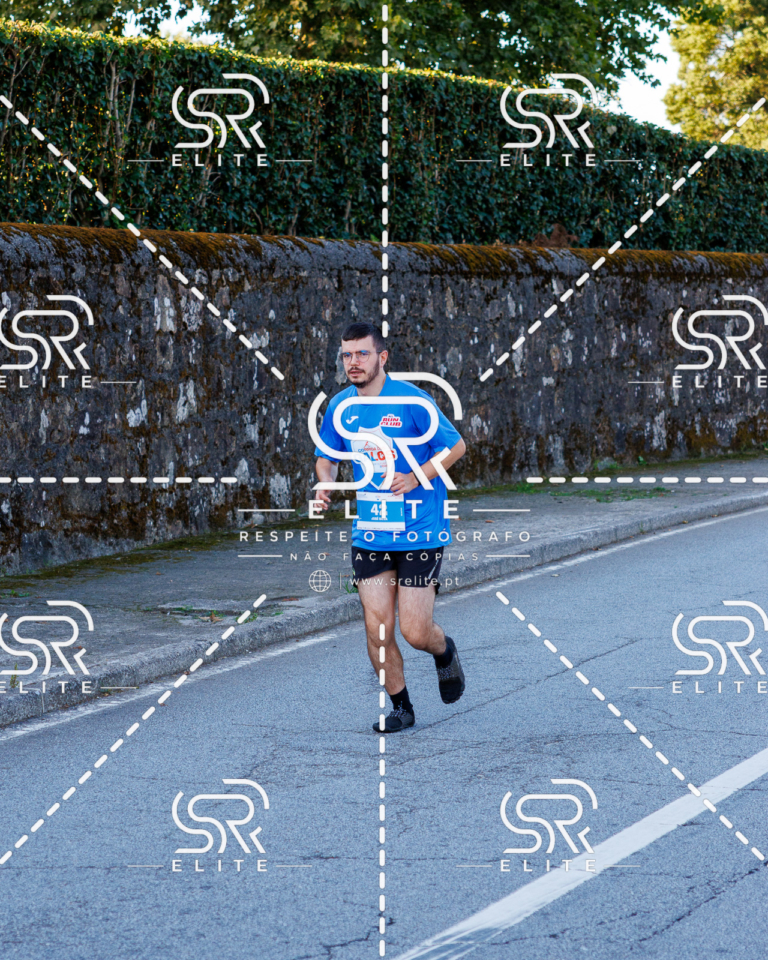 Preview com marca de água da fotografia galos-282