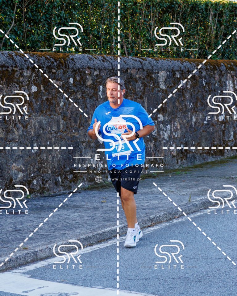 Preview com marca de água da fotografia galos-285