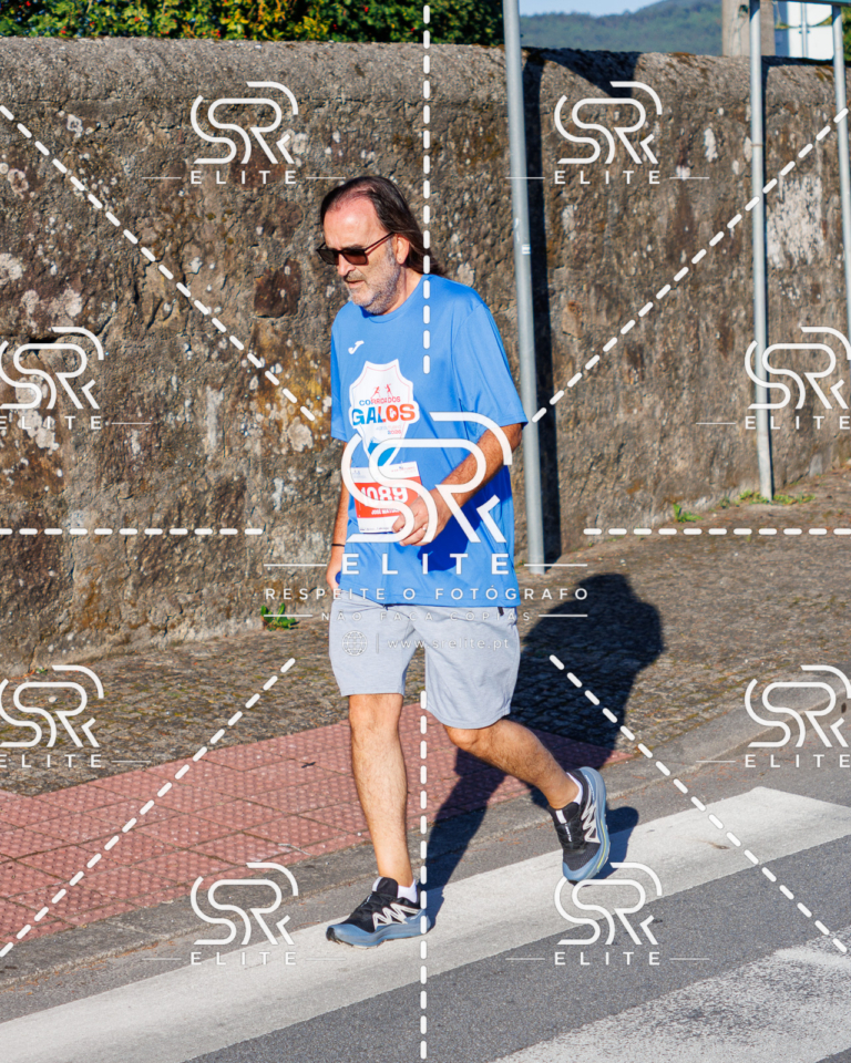 Preview com marca de água da fotografia galos-294
