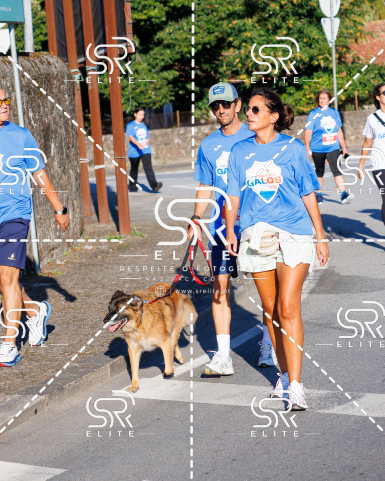 Preview com marca de água da fotografia galos-295